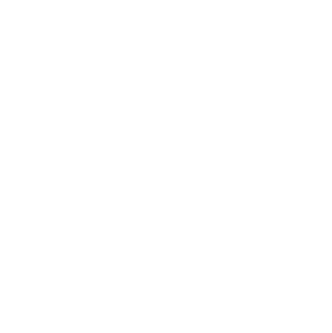 Security System Icon